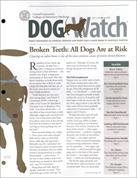 DogWatch
